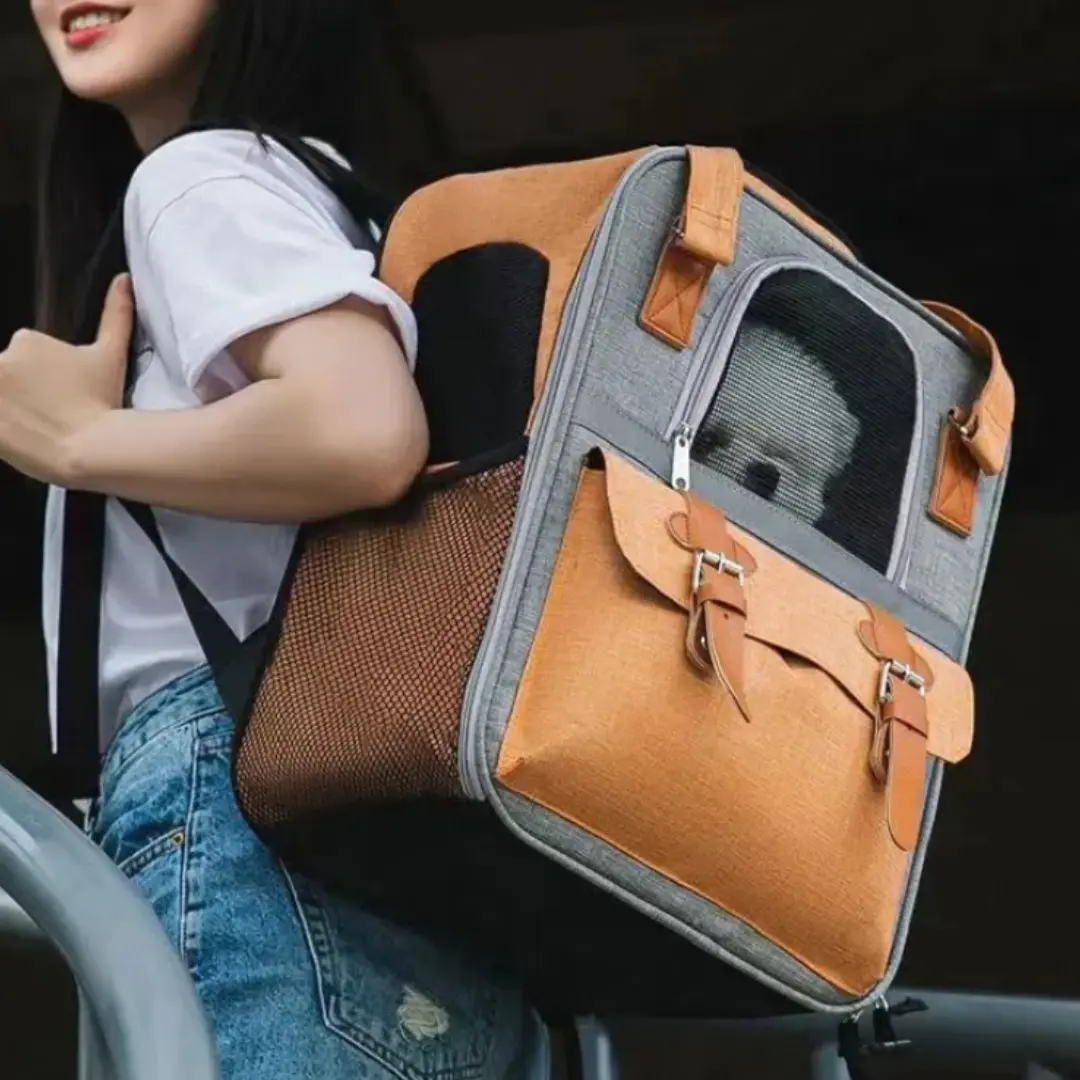 Sac à dos pour chien et chat de 10kg, idéal pour voyager - Havresacs - HavreS