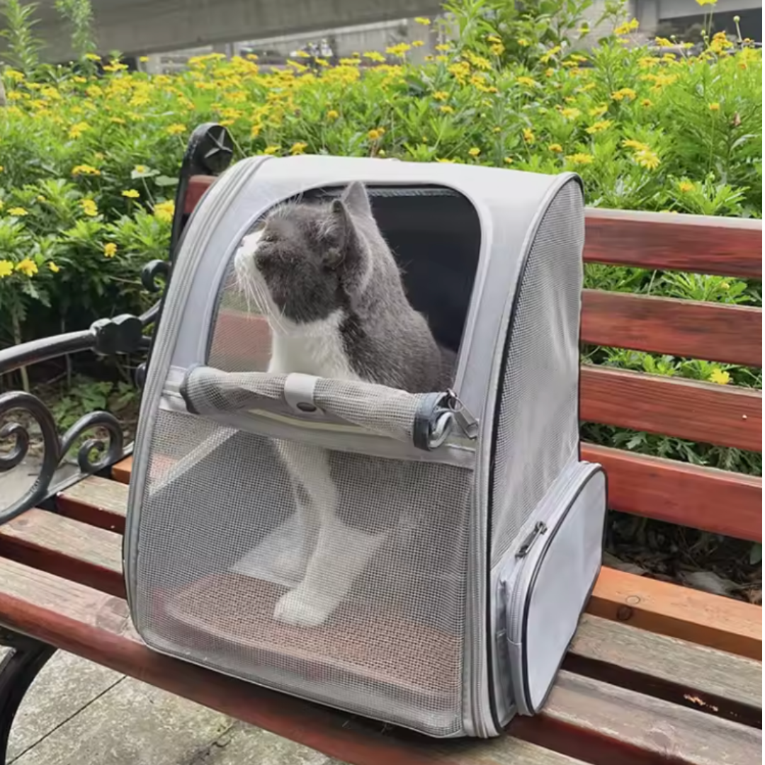 Sac à dos pliable et respirant pour chat ConfortChat – Havresacs