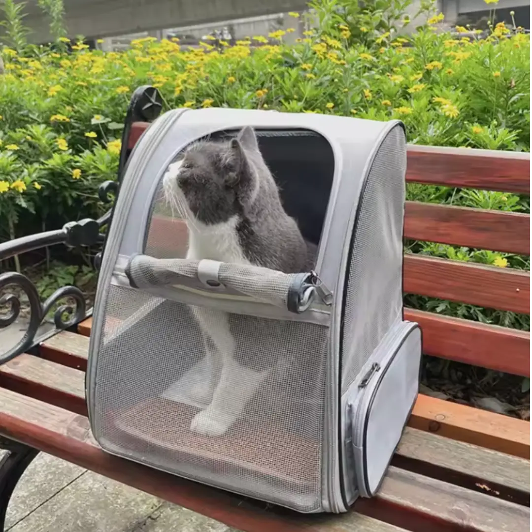 Sac à dos pour transport chat adulte et chaton - Havresacs - HavreS