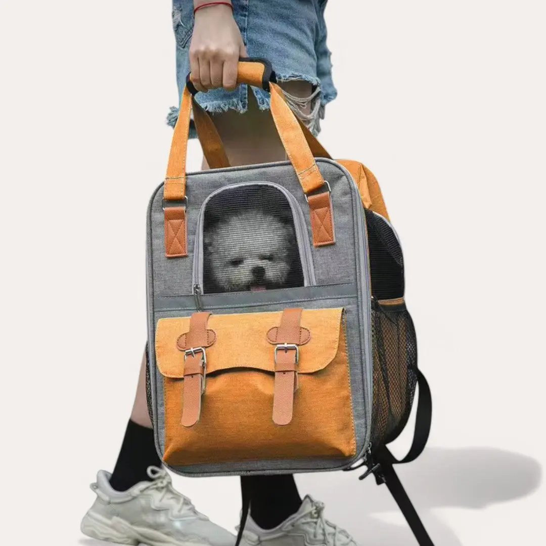 Sac à dos pour chien et chat de 10kg, idéal pour voyager - Havresacs - HavreS