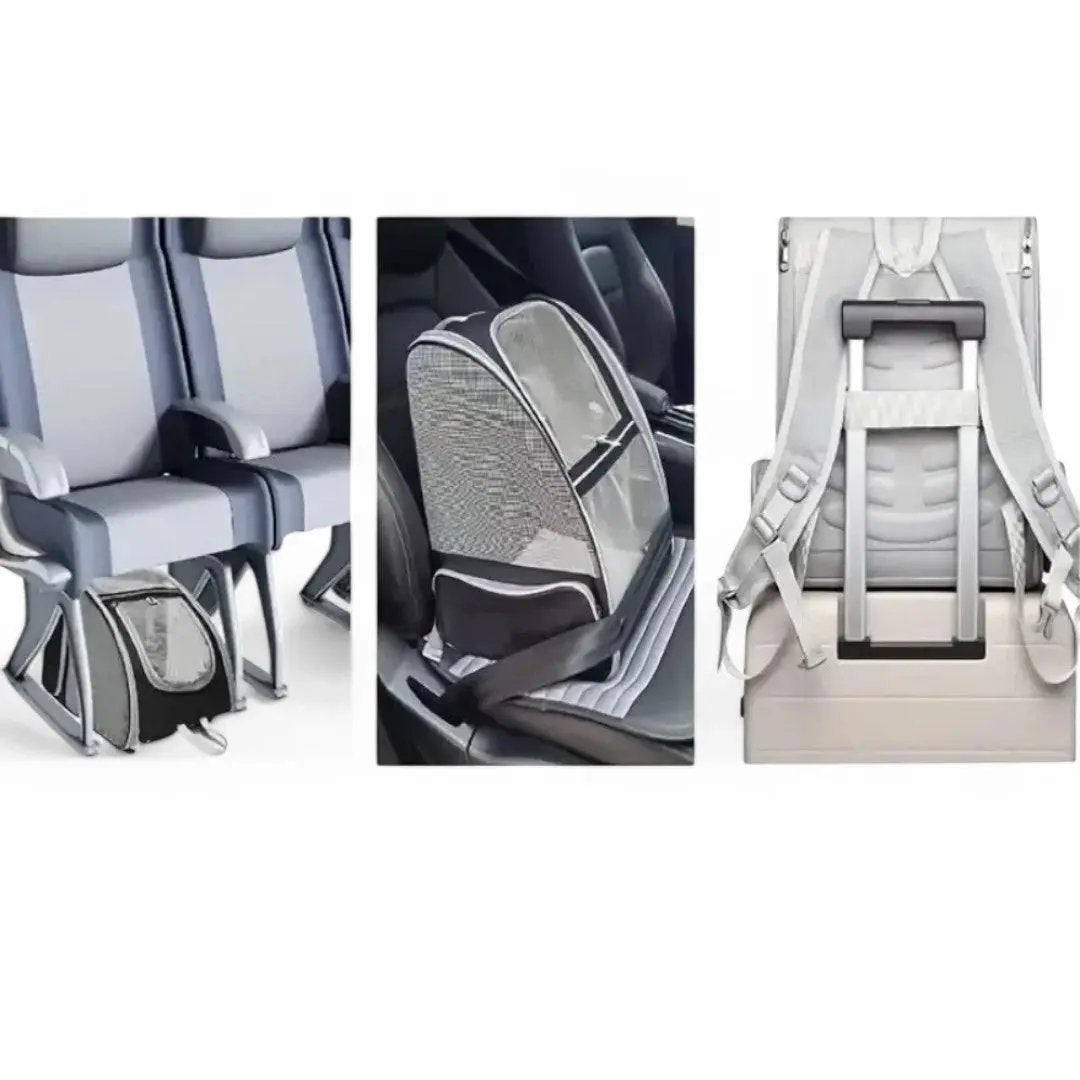 Sac à dos pour transport chat adulte et chaton - Havresacs - HavreS