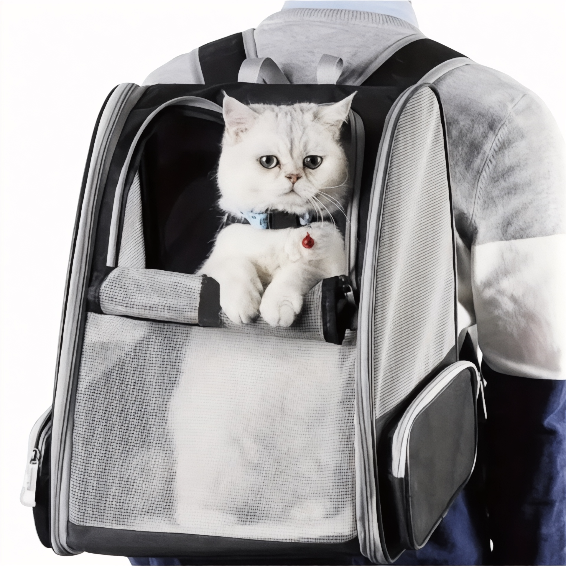 Sac à dos pliable et respirant pour chat ConfortChat – Havresacs