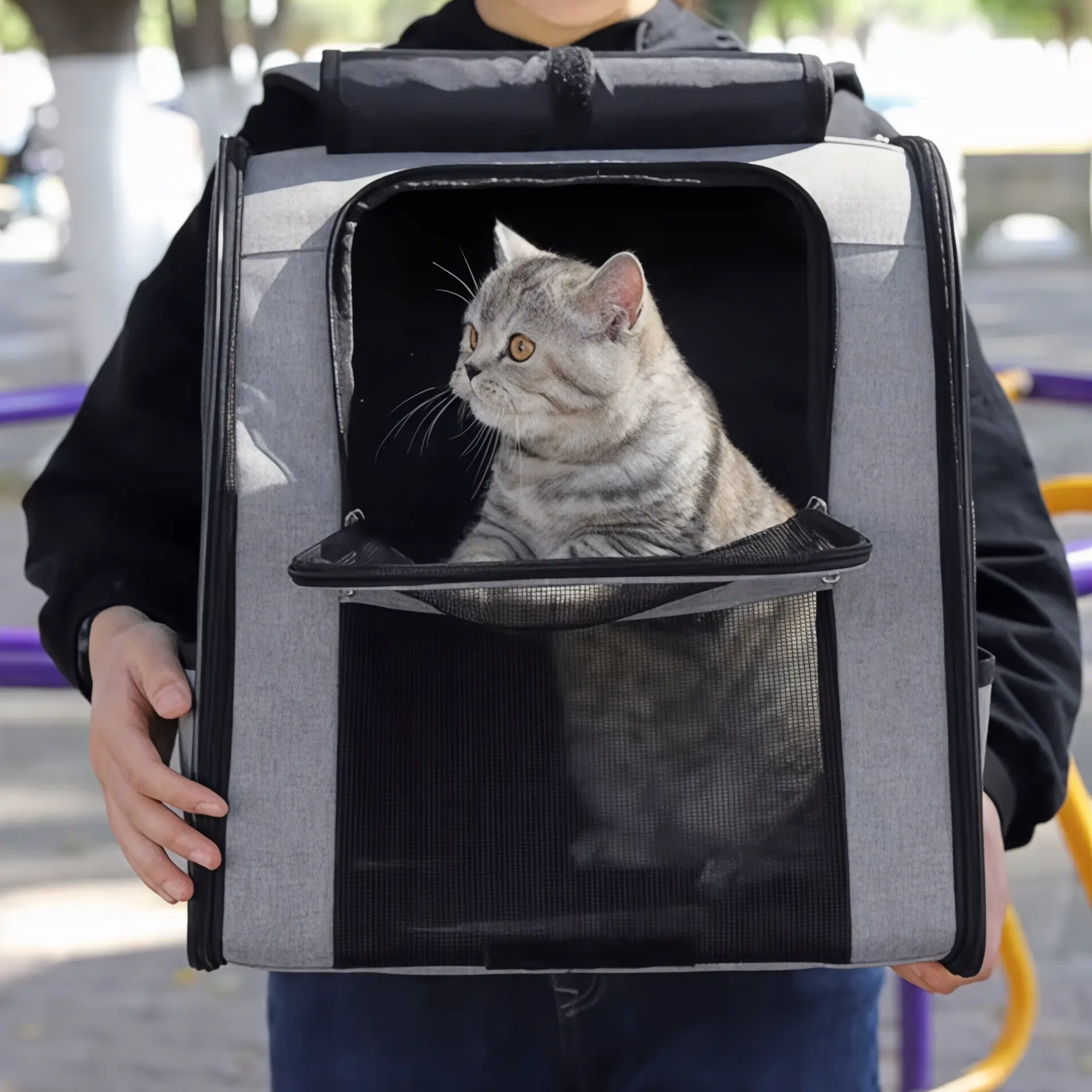 Sac à dos pour chat adulte grande capacité, 10 kg - Havresacs - HavreS