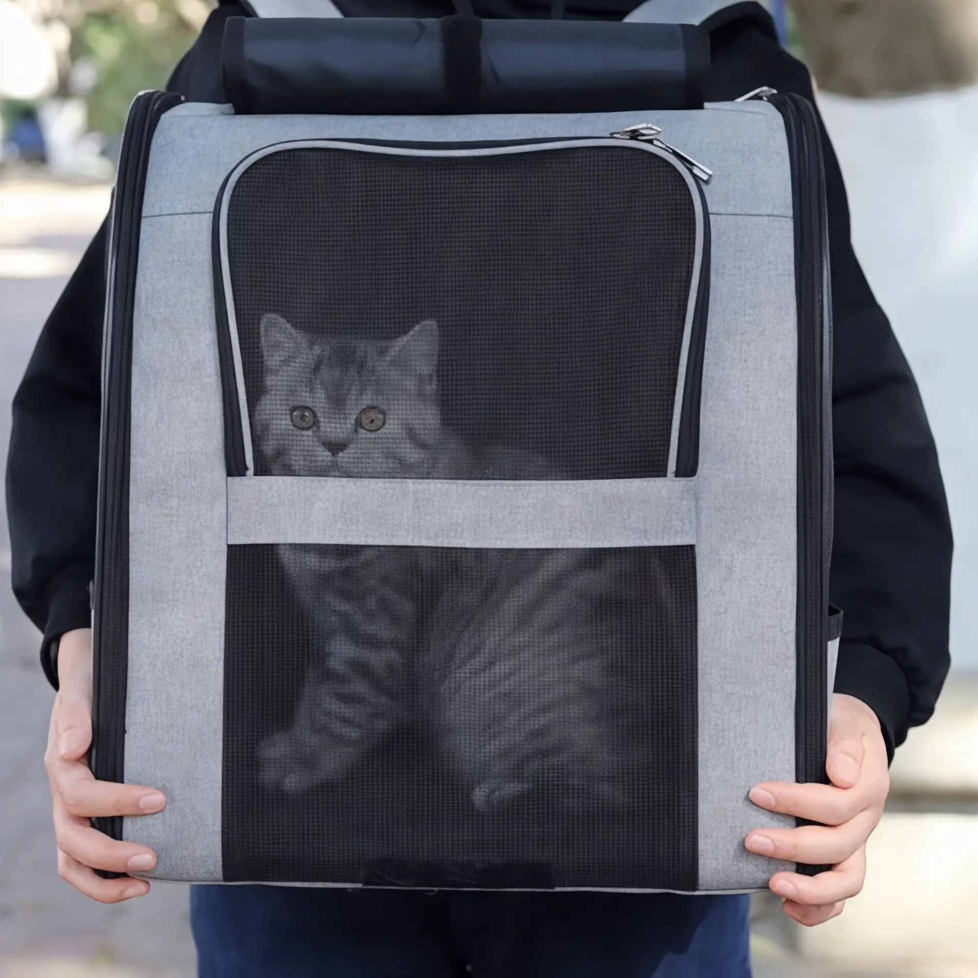 Sac à dos pour chat adulte grande capacité, 10 kg - Havresacs - HavreS