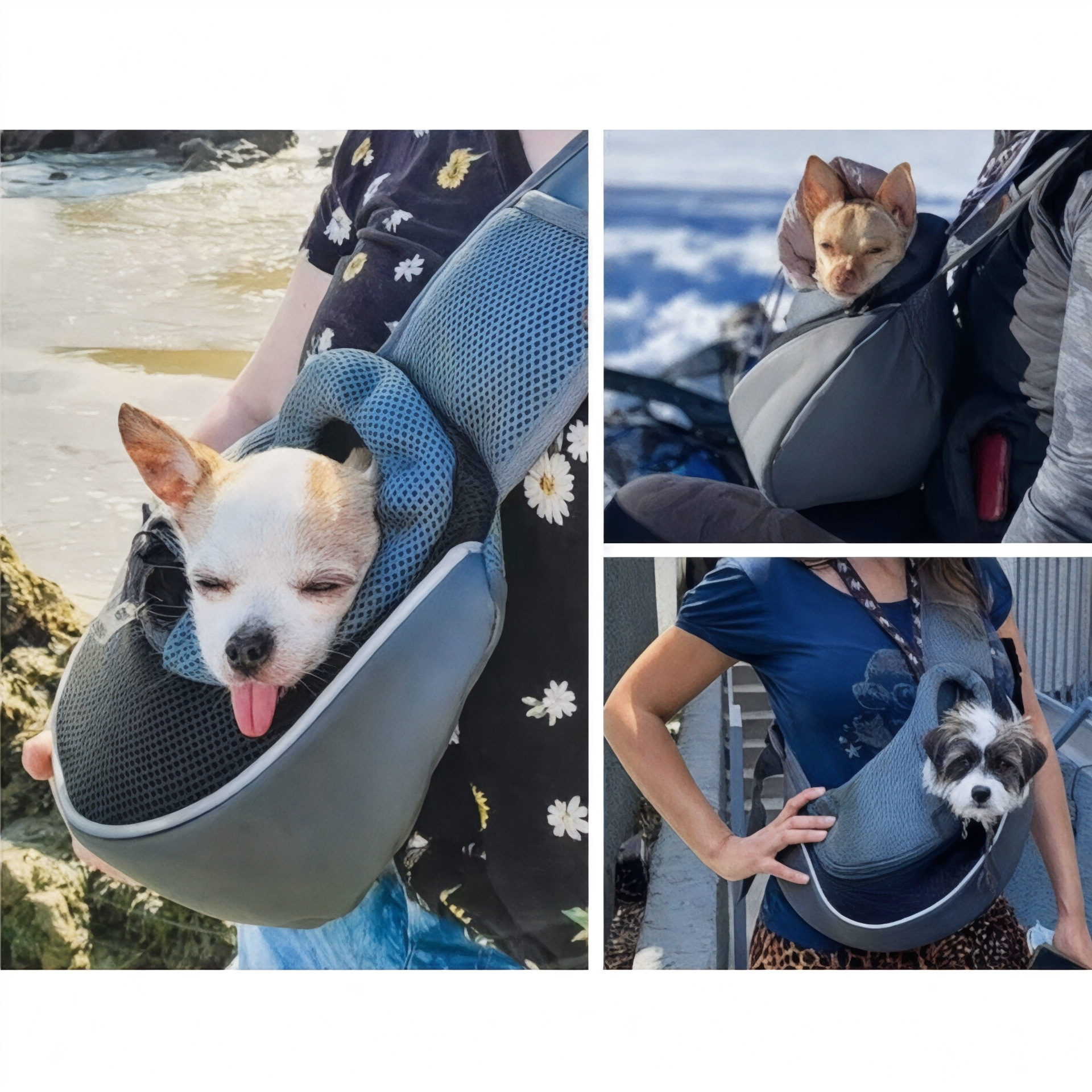 Sac bandoulière respirant pour chien EasyDog – Havresacs