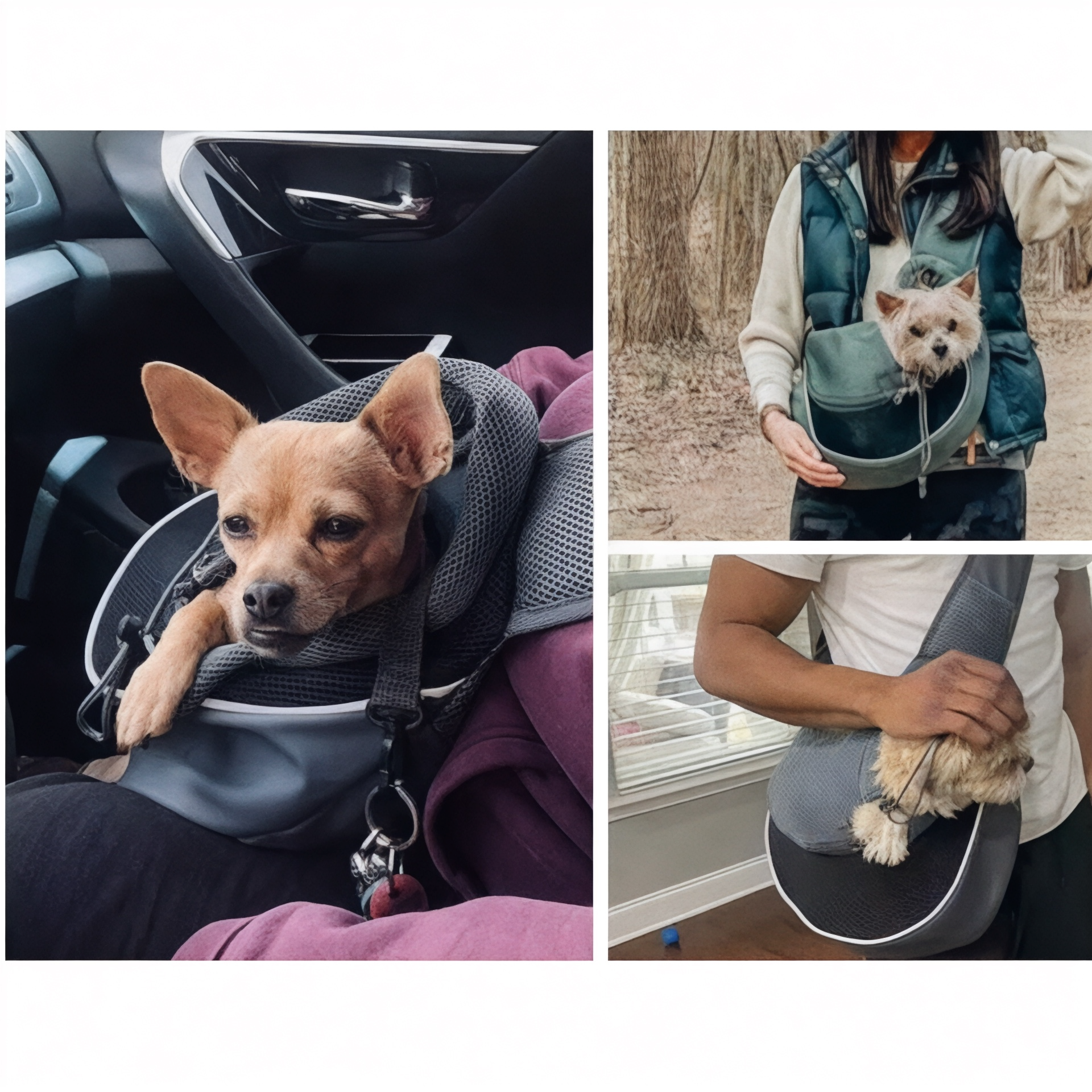 Sac bandoulière respirant pour chien EasyDog – Havresacs