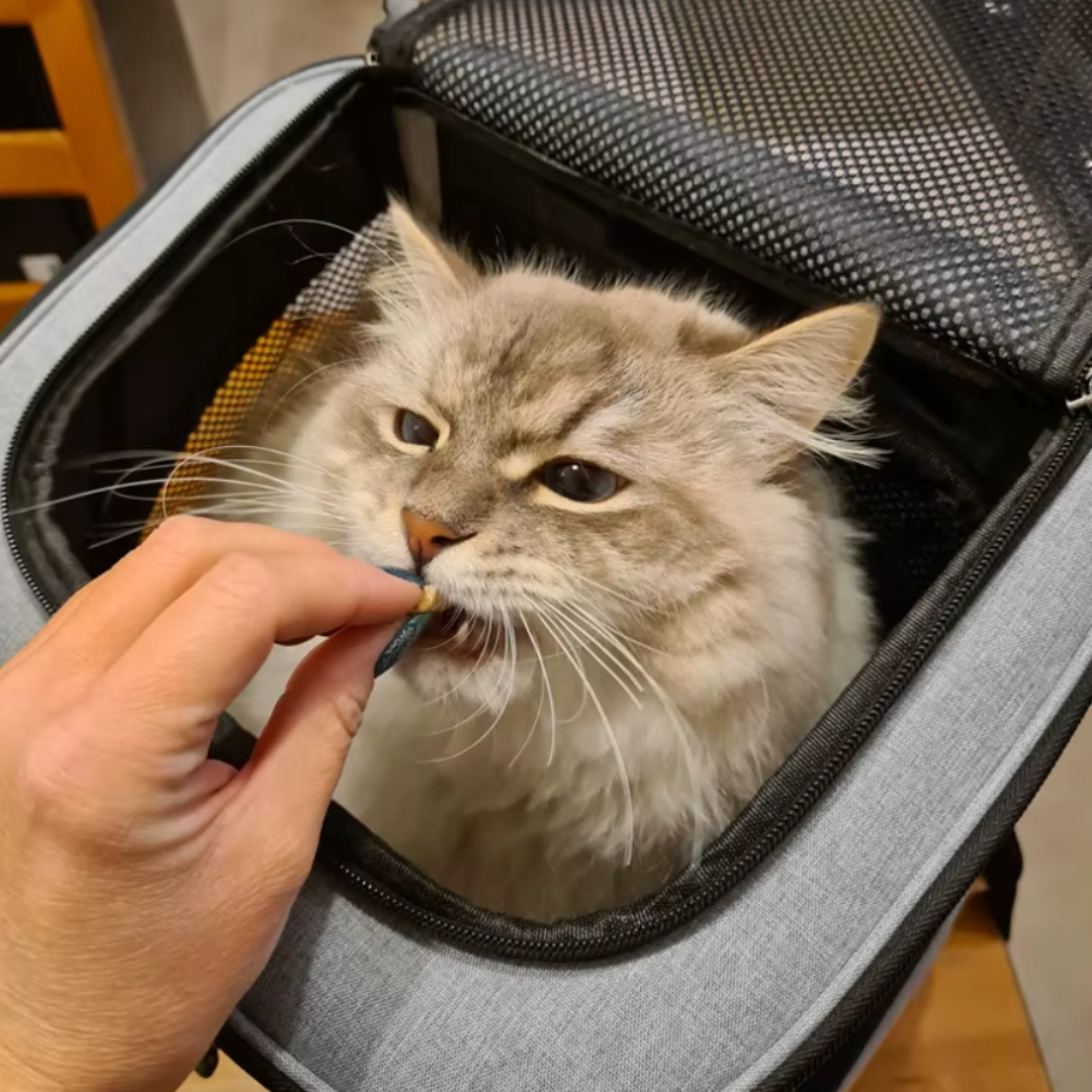 Sac à dos extensible pour animaux EspaceConfort – Havresacs