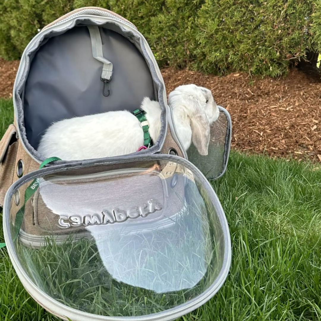 Sac à dos transparent pliable pour animaux TranspaPet – Havresacs