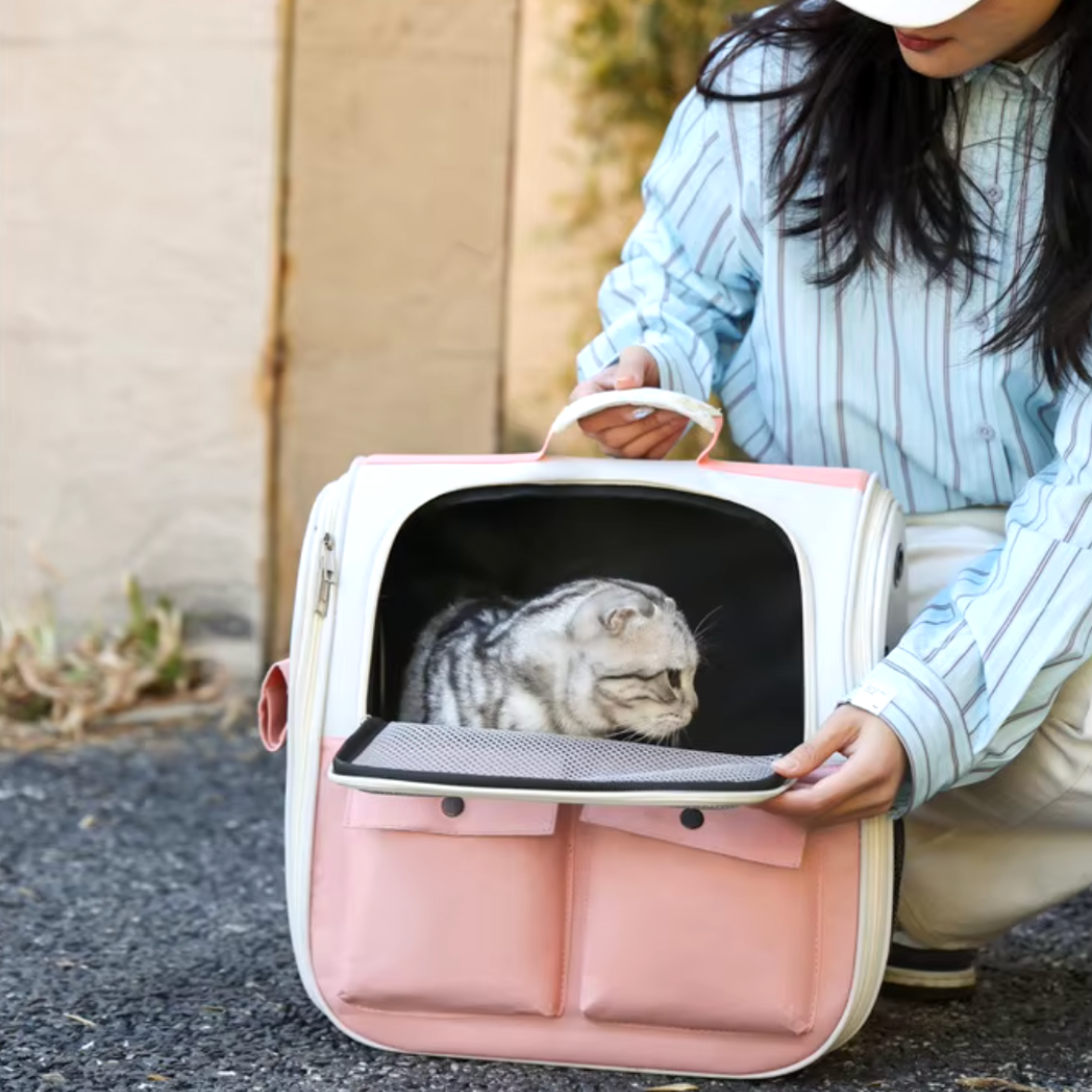 Sac à dos pour chat pliable et ventilé ConfortChat – Havresacs