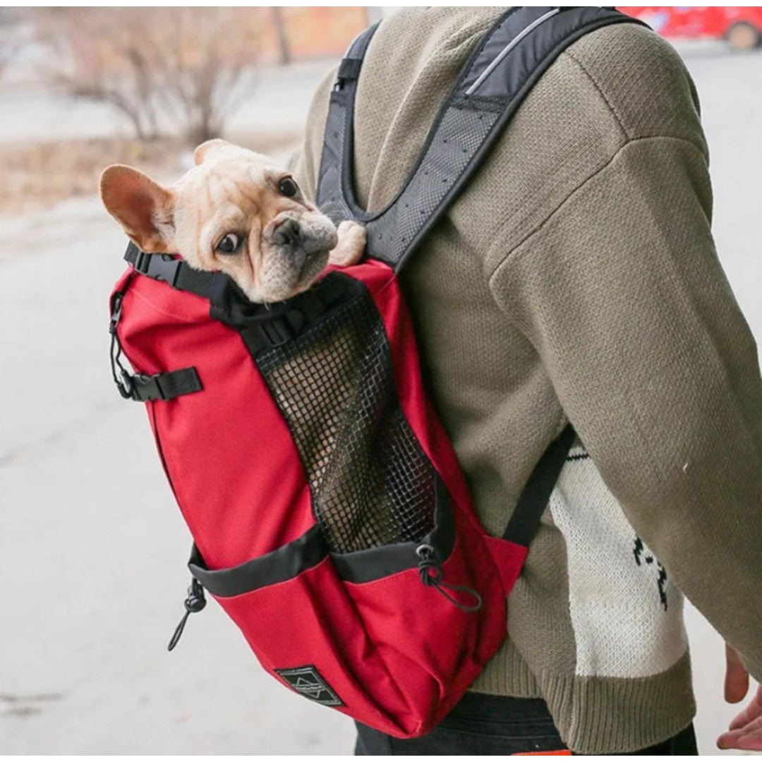 Sac à dos robuste pour animaux jusqu'à 30 kg GrandConfort – Havresacs